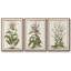 Munting Botanicals I 3 pièces-97709176-97709180