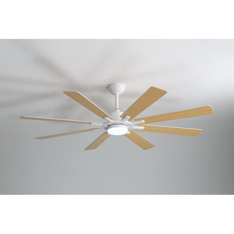 8-blade ceiling fan.