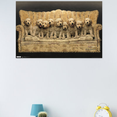 Animals Paper Print