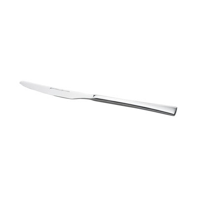 Stainless Steel Dinner Knife