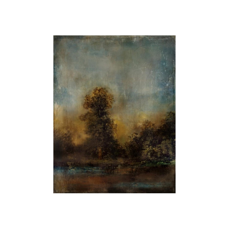 Summer Woods Print by Austin Beiv, Outdoor, 51" H x 40" W x 1.5" D