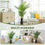 Faux Palm Tree in Pot-1901778736
