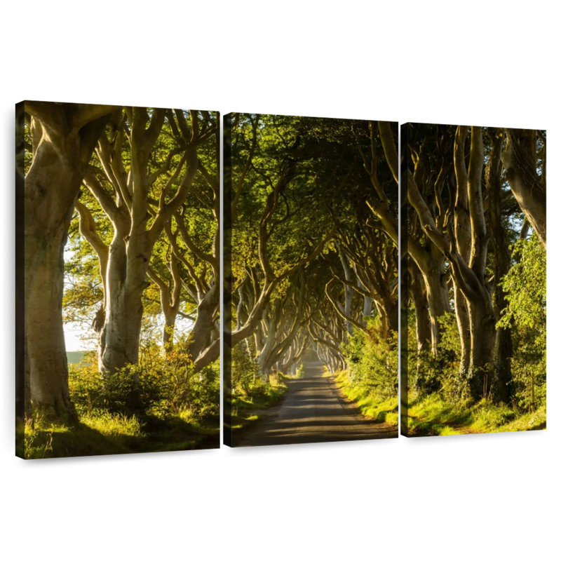 Harnek Sunlit Trees Path, 20" H x 33" W
