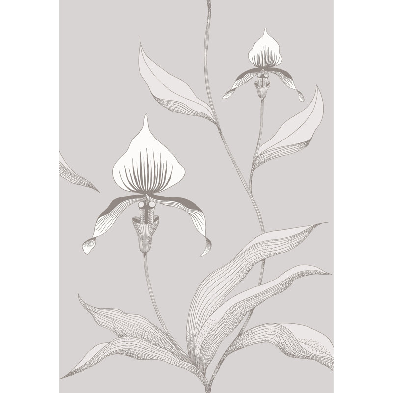 Orchid Floral Wallpaper Roll, Gray/White