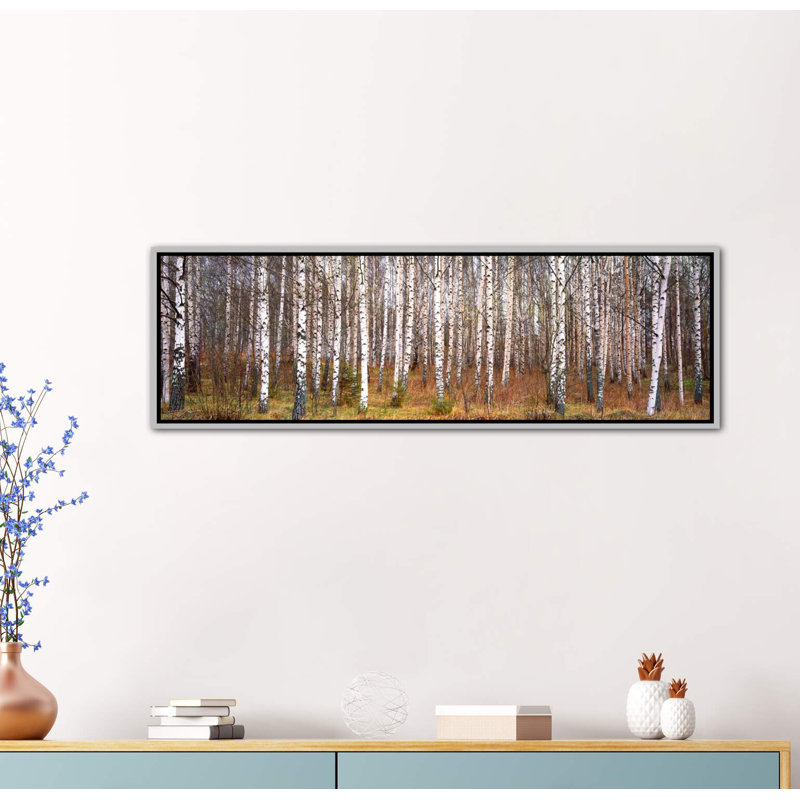 «Silver Birch Trees in a Forestnarke», reproduction de photo panoramique, H 20 po x l 60 po x P 1,5 po