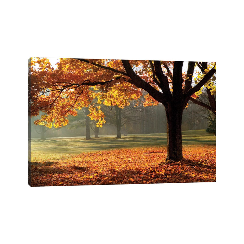 Autumn by Mike Jones - Wrapped Canvas Print, 20.32 cm H x 30.48 cm W