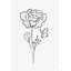Parmi les fleurs sauvages II par Leah York - impression-492711692-532508747-532508741