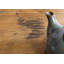 Solid Wood Four Leg Coffee Table with Storage-91339970