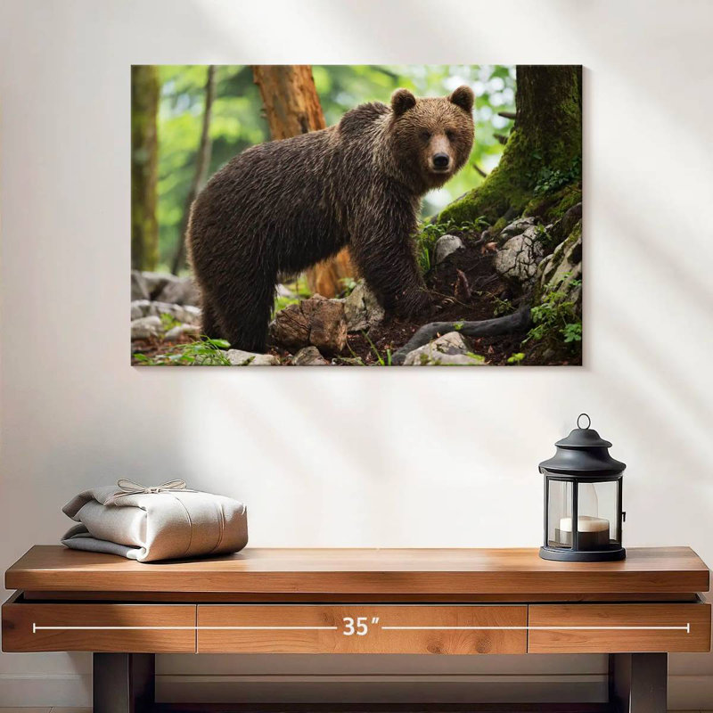 Ours grizzly humide Brampt