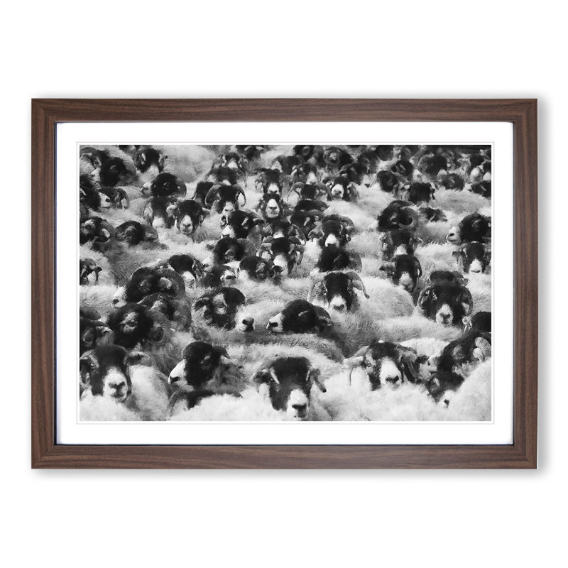 Flock of Sheep Vol.2 - Framed Print, Walnut Framed, 27cm H x 36cm W x 2cm D