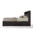 Vanleer Bookcase Bed-1553745533
