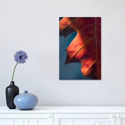 Autumn Sweetness by Philippe Sainte-Laudy - Print on Canvas