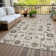 Alta Washable Oriental Indoor / Outdoor Area Rug