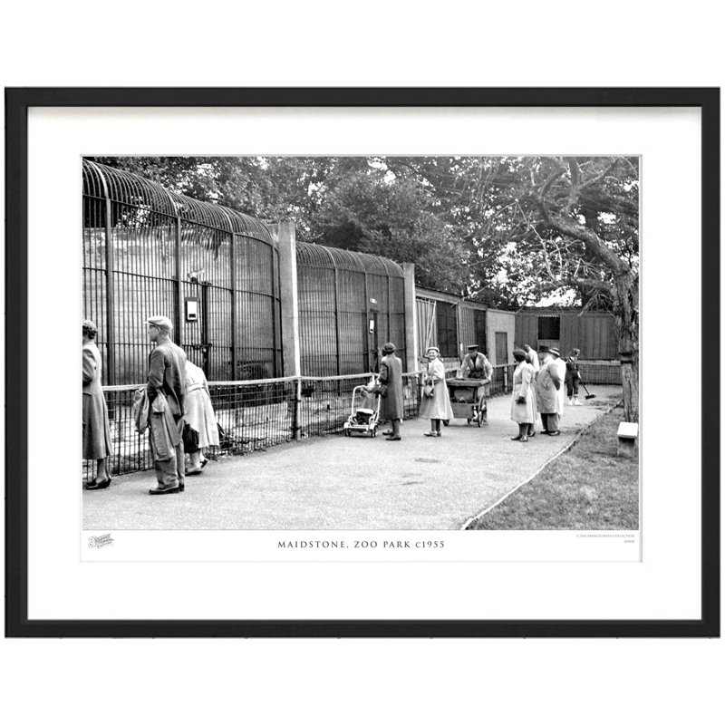 Maidstone, Zoo Park C1955 by Francis Frith - Single Picture Frame Print, 60cm H x 80cm W x 2.3cm D