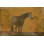 " Oxidized Horse I " by Norman Wyatt Jr.
