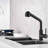 FB WERFY Pull Out Kitchen Faucet-66431221