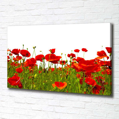 Field Poppies - Wrapped Canvas Print