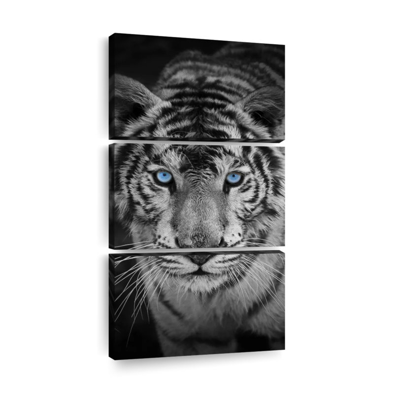 Tigre bleu sur toile, ensemble de 3 pièces, H 38 po x l 18 po x P 1,25 po
