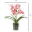Orchid Arrangement In Glass Vase-1795696237
