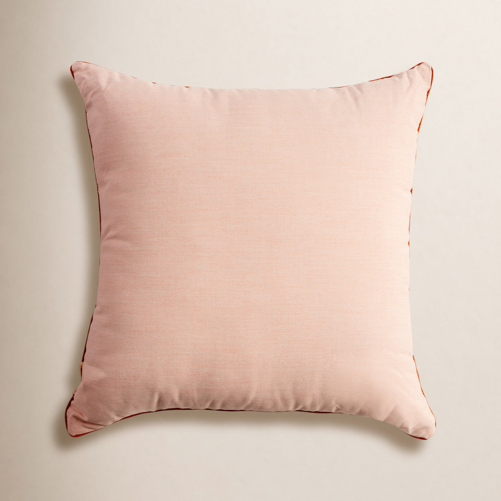 Rivie Indoor/Outdoor Throw Pillow, 26"H x 26"W, Pink