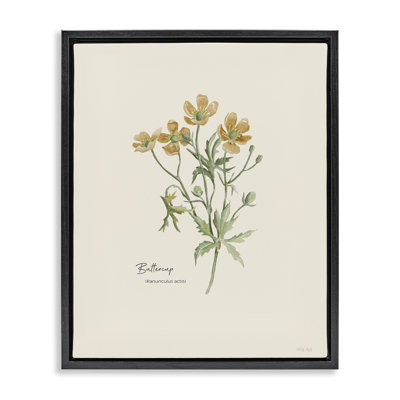 «Simple Buttercup Flowers» par Cindy Jacobs