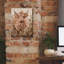 «Highland Cow» par Ashley Bradley, art mural-1524262316