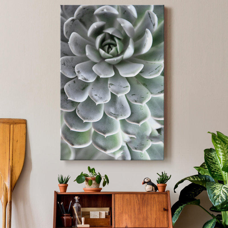 Zen Succulent IV - reproduction de photo sur toile tendue, H 12 po x l 8 po x P 1 po