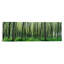 « forest trail chateau-thierry france », reproduction de photo sur toile-19977432-71983829