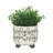 S/2 CERAMIC 6/8" SCRIBBLE FOOTED PLANTER, BEIGE