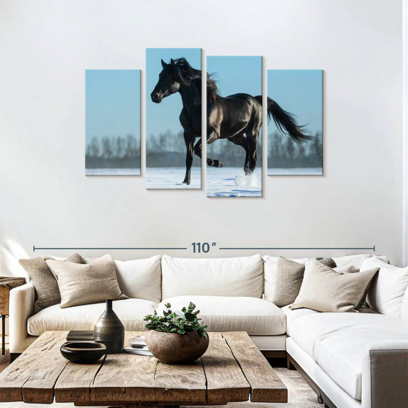 Brampt Purebred Spanish Horse
