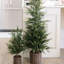 SEASONAL GREENERY TREE PINE BSKT 4FT