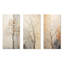 «Beige Trees Oak Solitude», ensemble de 3 reproductions d'art mural-2861342-2861340