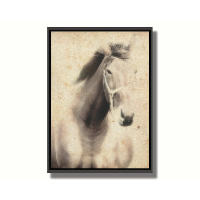 Cheval étalon par Hal Halli. Estampe numérique, Cadre flottant sans passe-partout, Noir, H 36,5 po x l 48,5 po