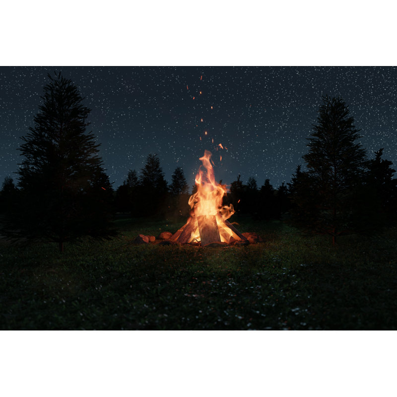 Feu de camp, H 8 po x l 12 po