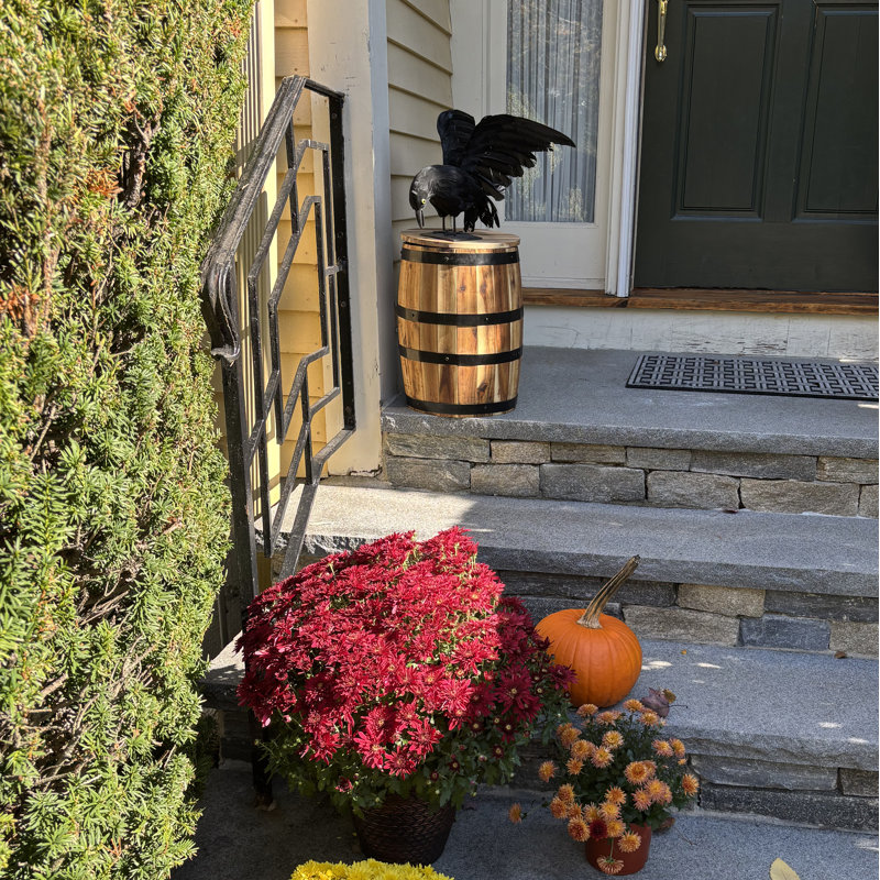 Halloween Decorative Accent