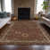 Machine Washable Indoor/Outdoor Xhevrie Paprika Rug