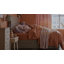 Silentnight Memory Range Pocket Sprung Mattress-98247006