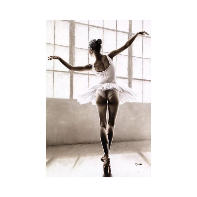 Into The Light by Richard Young - Wrapped Canvas Print, 45.72cm H x 30.48cm W x 1.91cm D