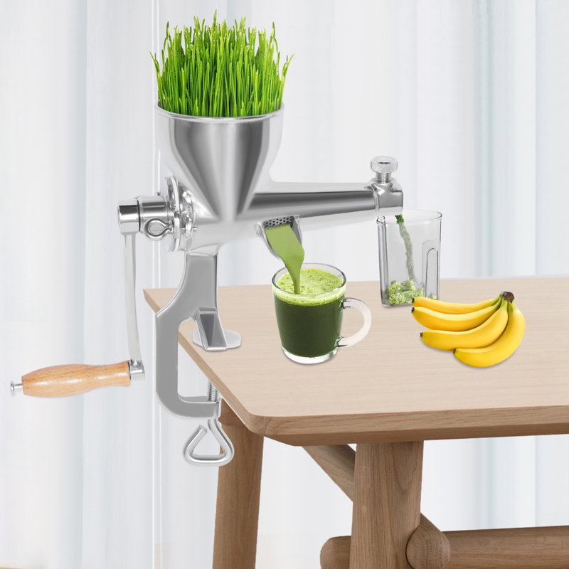 Hand Press Citrus Juicer