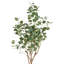 Eucolites de Zylo, plante verte, 59 pouces, polyester vert