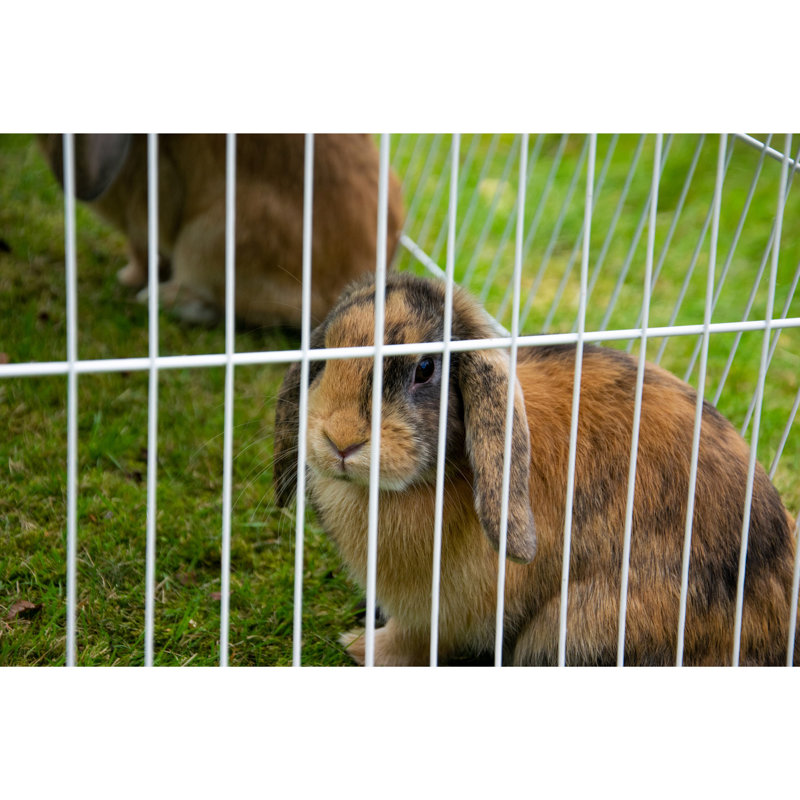 Weather Resistant Small Animal Playpen