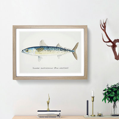 An Illustration Of A Blue Mackerel - Single Picture Frame Painting
