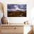 Roadside Aspen Trees-48884993