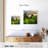 Alvord Borneo Rainforest-111881684