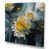 Toile tendue