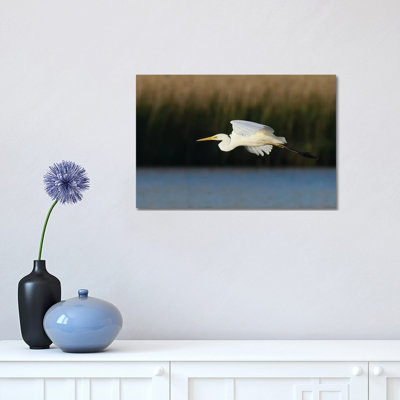 " Great Egret " by Elmar Weiss