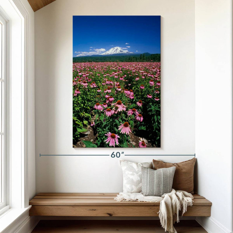 Harnek Echinacea Field, 51" H x 34" W