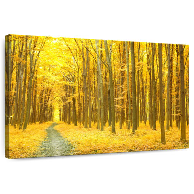 Promenade Harnek dans la forêt d'automne
