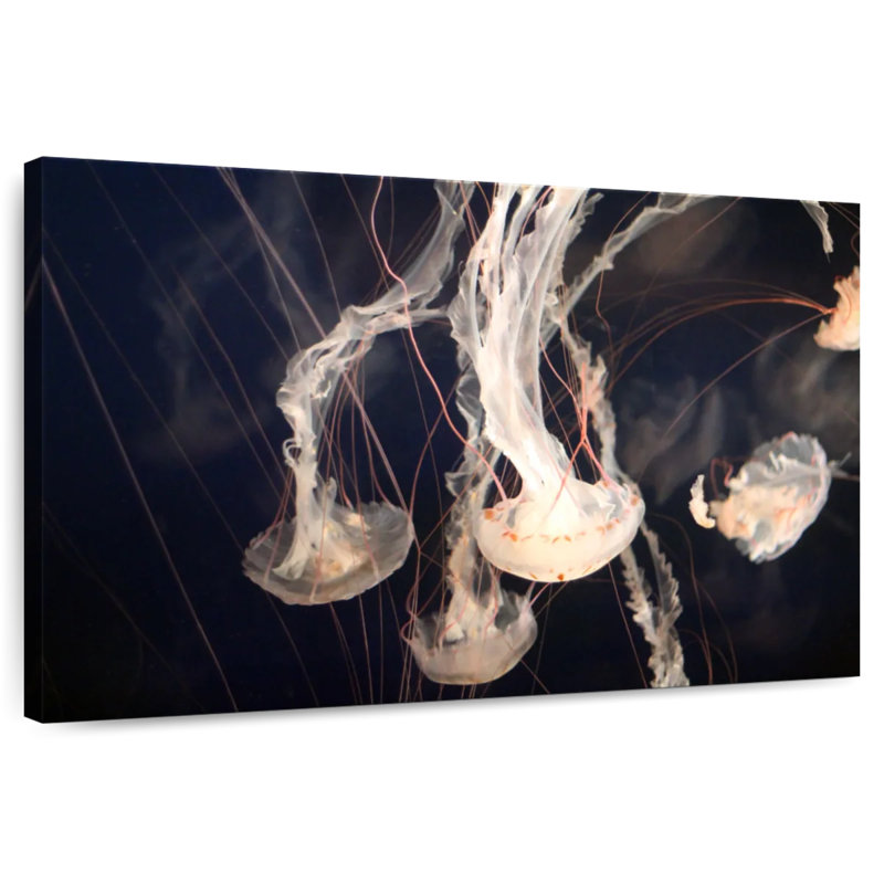 Brampt Light Of Jellyfish, 30" H x 45" W
