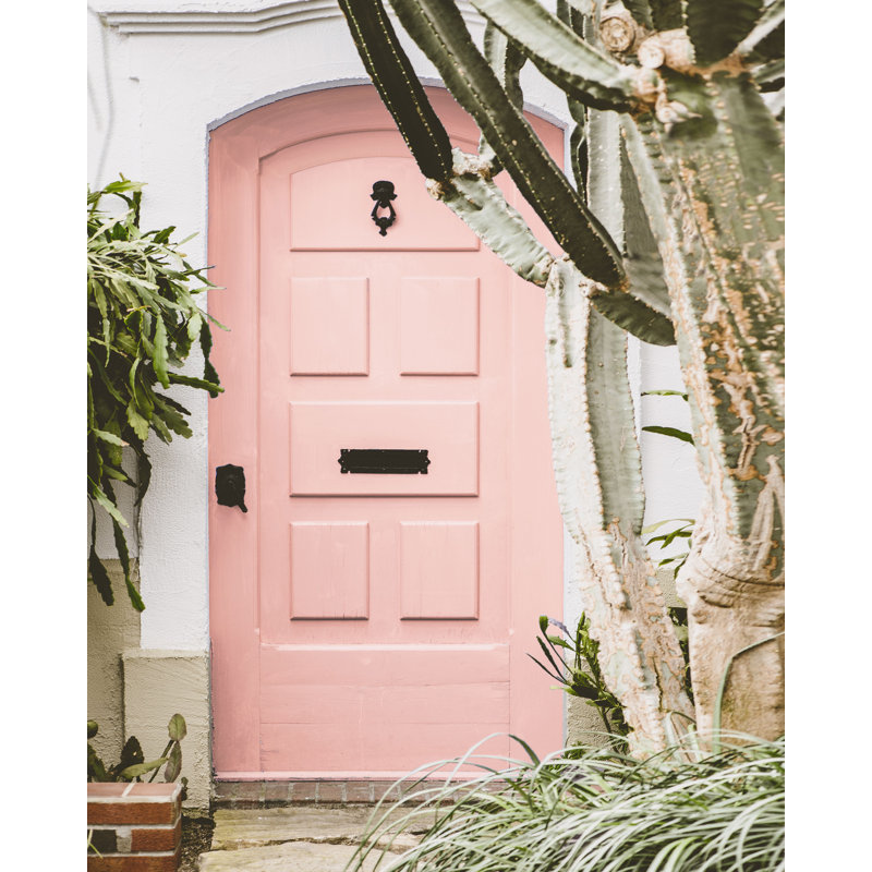 Blush Door with Cactus - Photograph Print, Wrapped Canvas, 91 cm H x 61 cm W